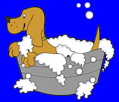 Dog in bath tub